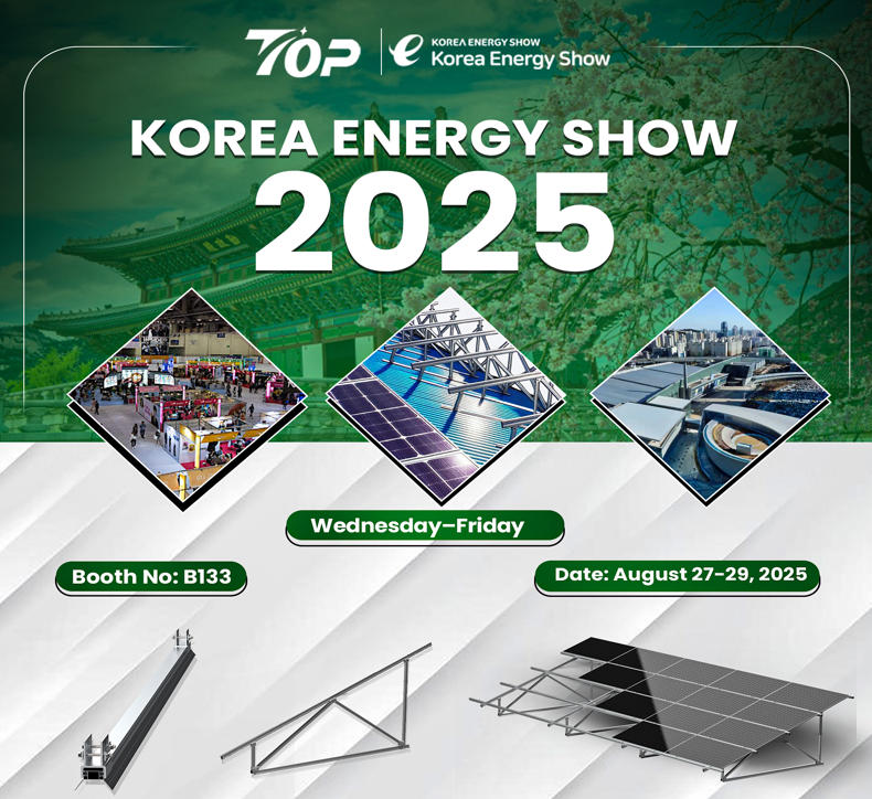 2025 жылы Кореяның энергетикалық шоуы